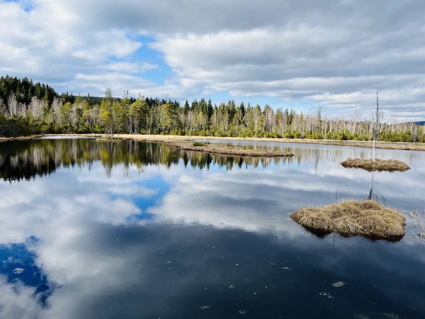 Průvodce Šumava s dětmi: 31 výletů v srdci největšího národního parku Čech náhled 4