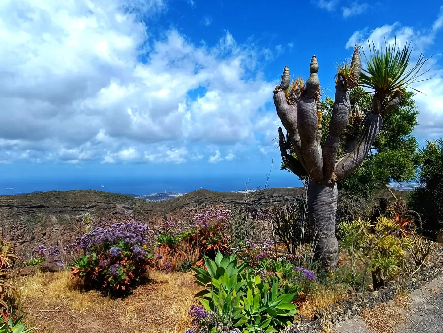 Balíček průvodců Kanárské ostrovy s dětmi – Tenerife a Gran Canaria náhled 4