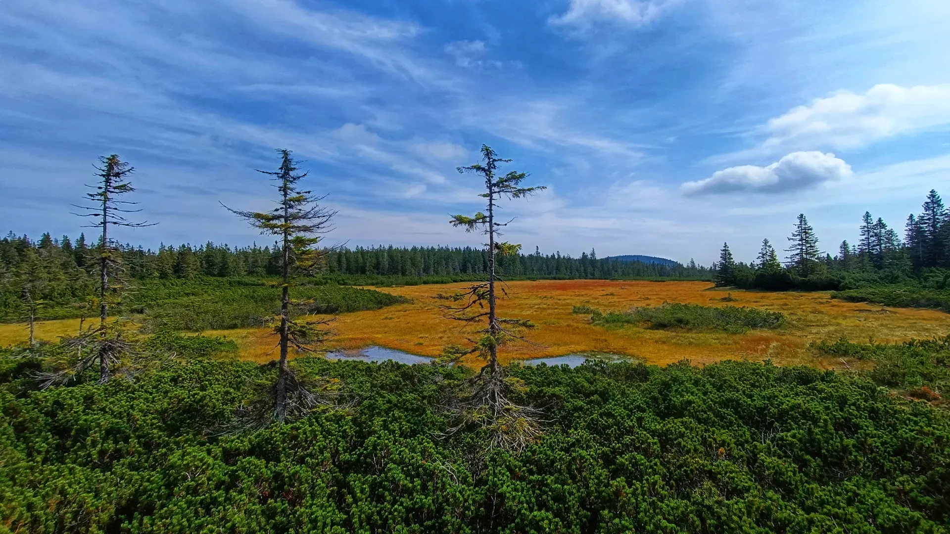 Průvodce Královéhradecký kraj a Krkonoše s dětmi: 30 výletů od hor k nížinám náhled 5