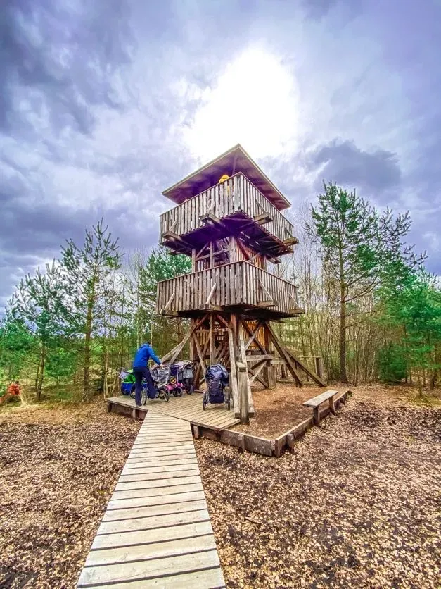 Průvodce Šumava s dětmi: 31 výletů v srdci největšího národního parku Čech další obrázky