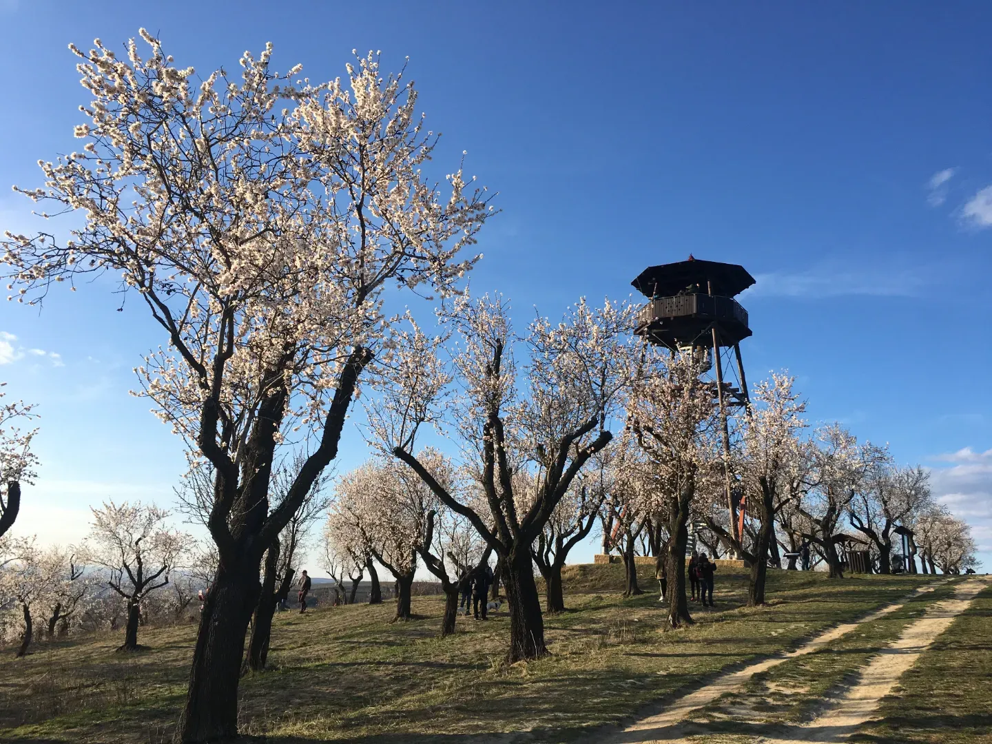 Průvodce Brno a okolí s dětmi: 31 výletů kolem moravské metropole náhled 5