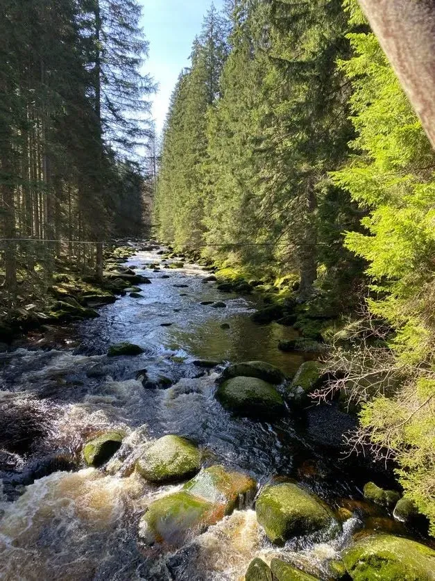 Průvodce Šumava s dětmi: 31 výletů v srdci největšího národního parku Čech náhled 3