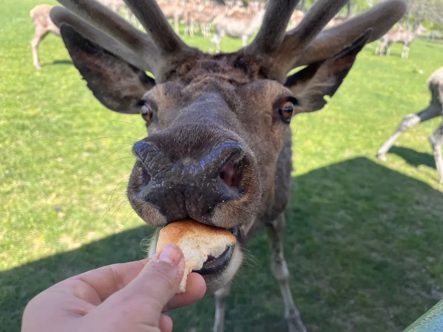 Čarodějnické Jeseníky s dětmi náhled 5