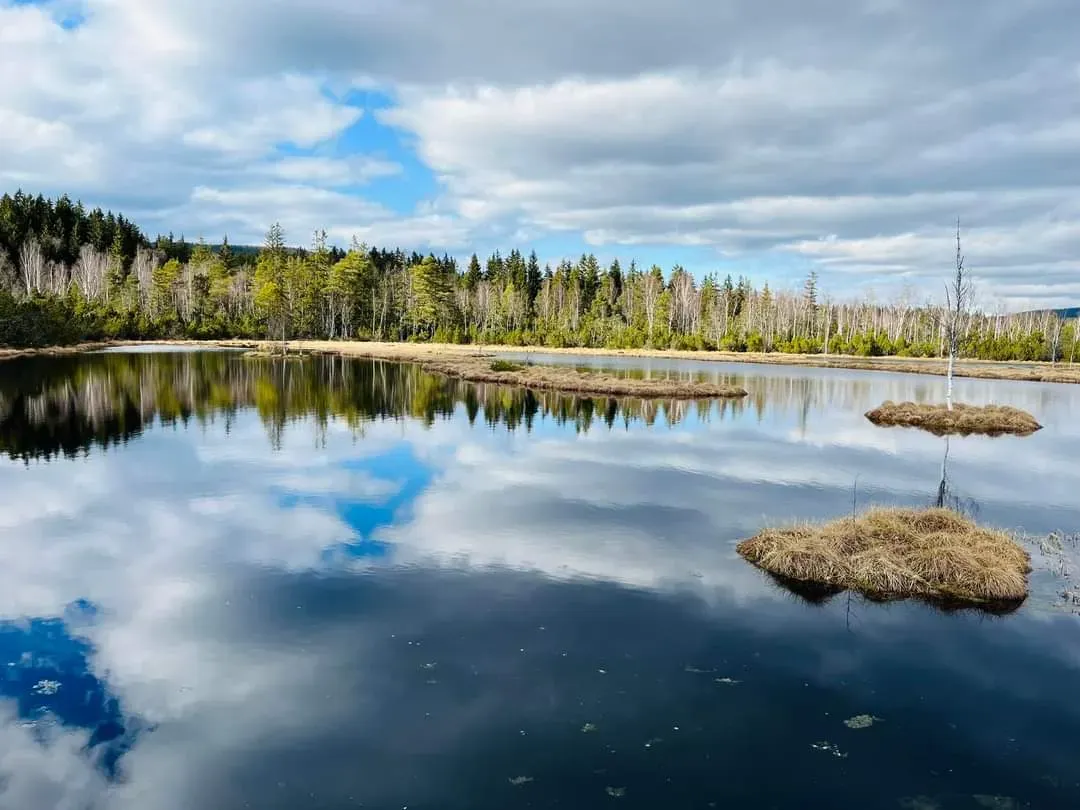 Jarní Šumava s dětmi další obrázky