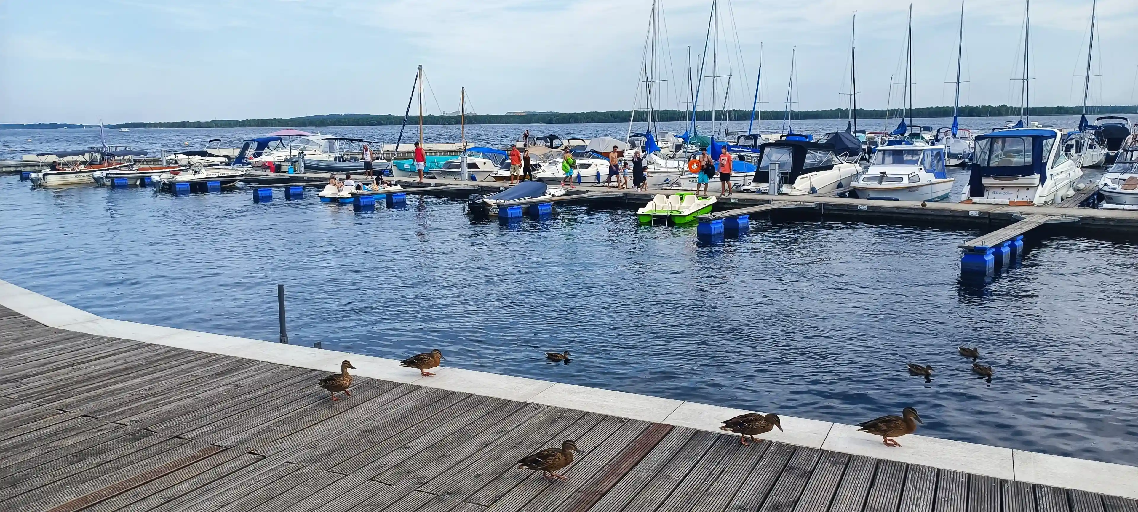 Průvodce Německem: Lužická jezera – Cyklo & in-line výlety s dětmi náhled 5