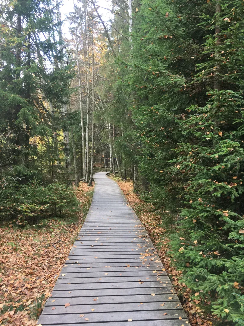 Průvodce Západní Čechy s dětmi: 32 výletů po kraji pramenů, hradů a nekonečných lesů náhled 5