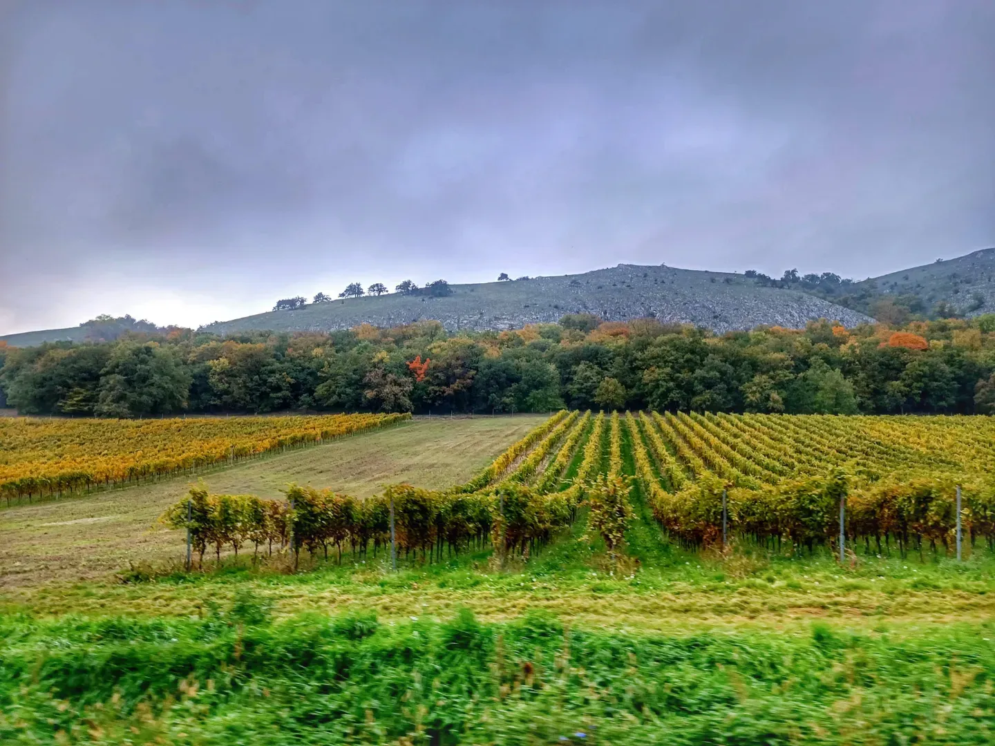 Průvodce Brno a okolí s dětmi: 31 výletů kolem moravské metropole další obrázky