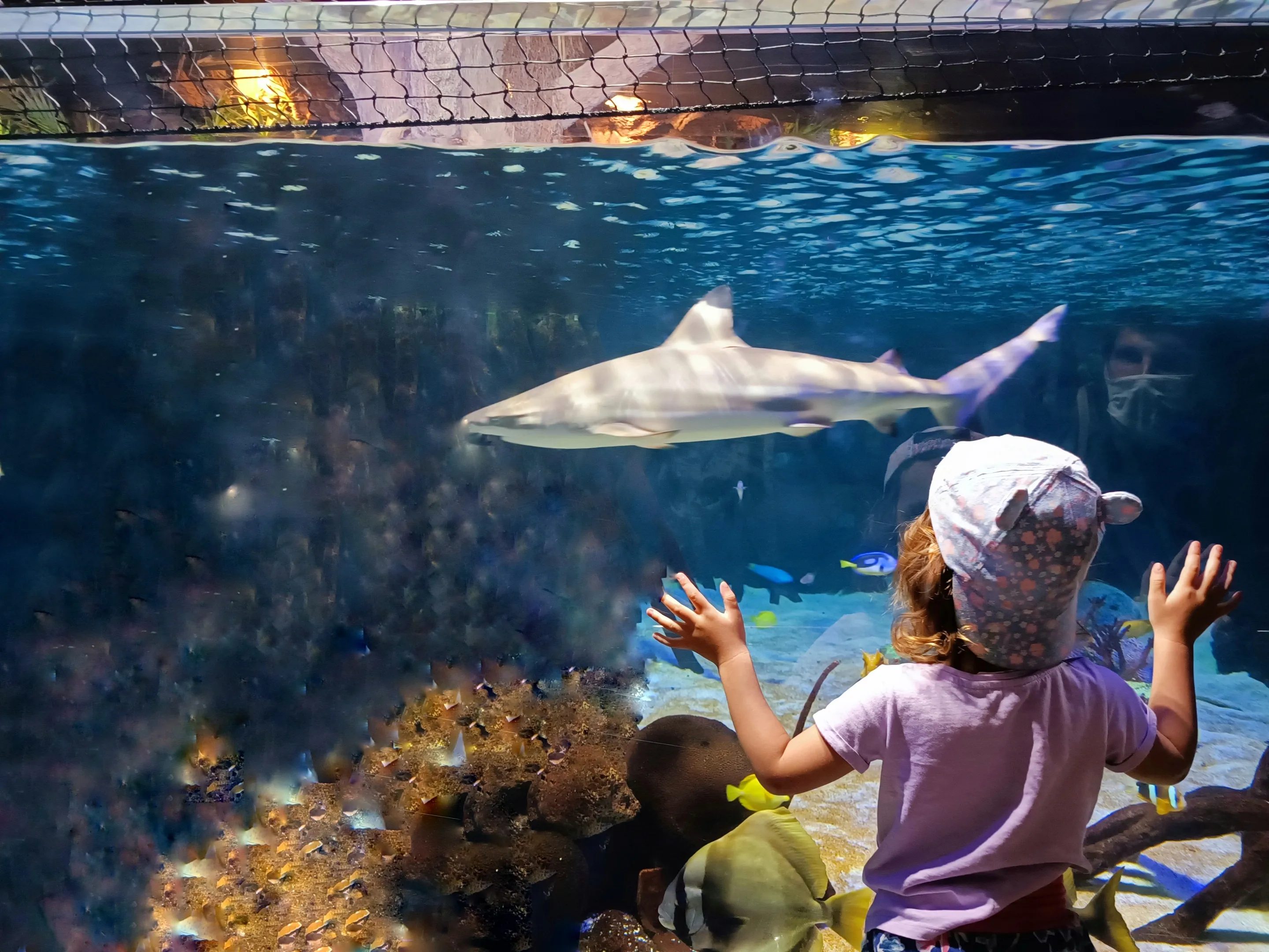 Průvodce Tenerife s dětmi náhled 4