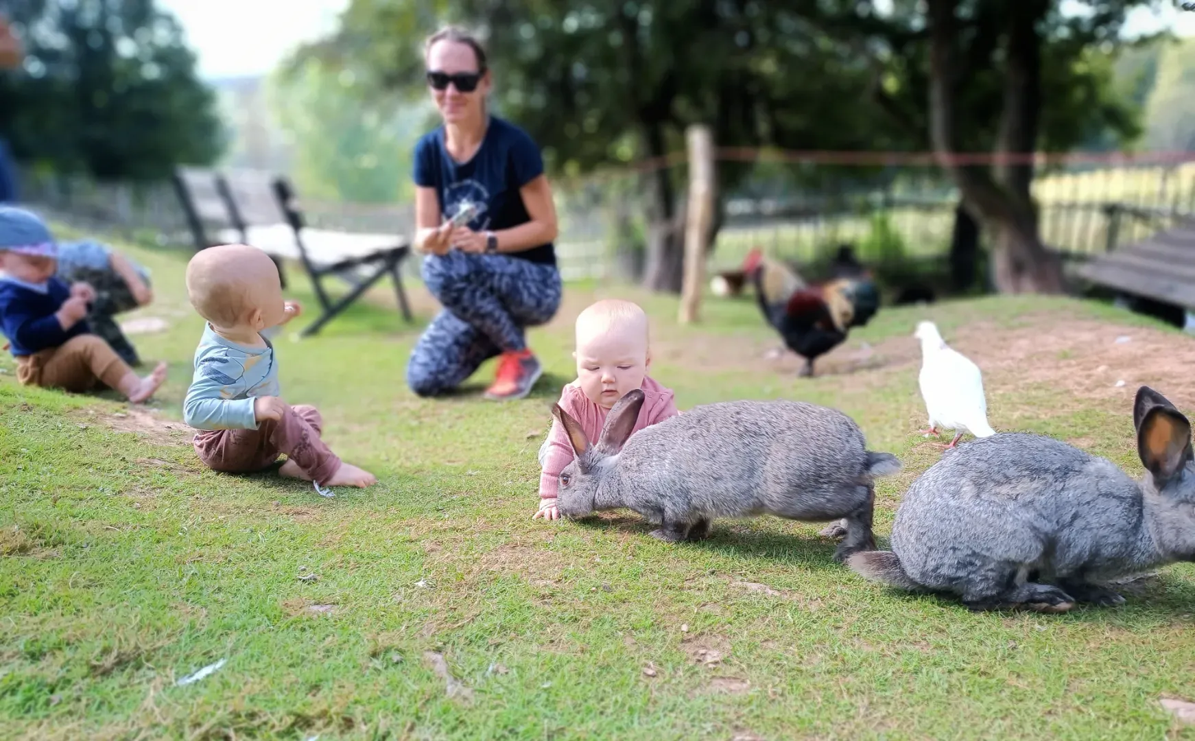 Průvodce Královéhradecký kraj a Krkonoše s dětmi: 30 výletů od hor k nížinám náhled 4